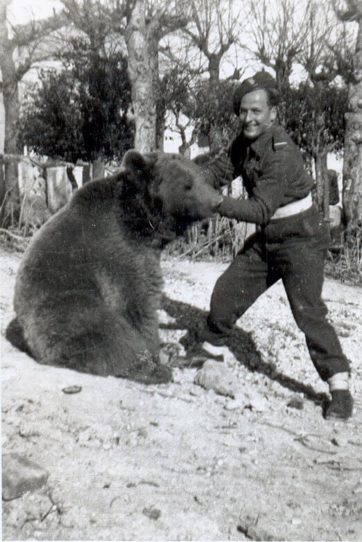 Animals Like Wojtek the Bear During War and Peace