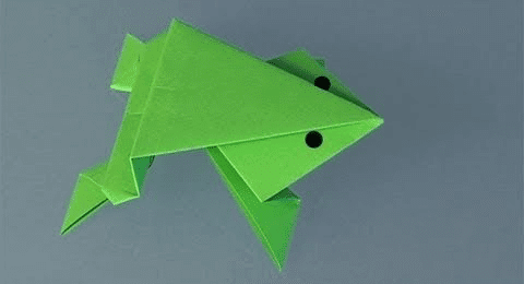 De la Rana de papel a la Rana de la Formación