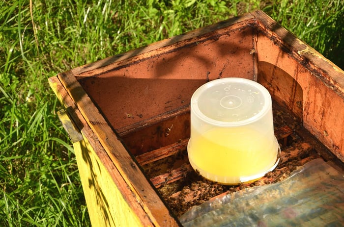 Spring Feeding for Honey Bees: Ensuring a Thriving Hive