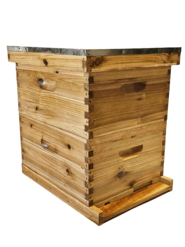 Wax Dipped vs Painted Beehives: Which Lasts Longer and Is Better for Beginners?