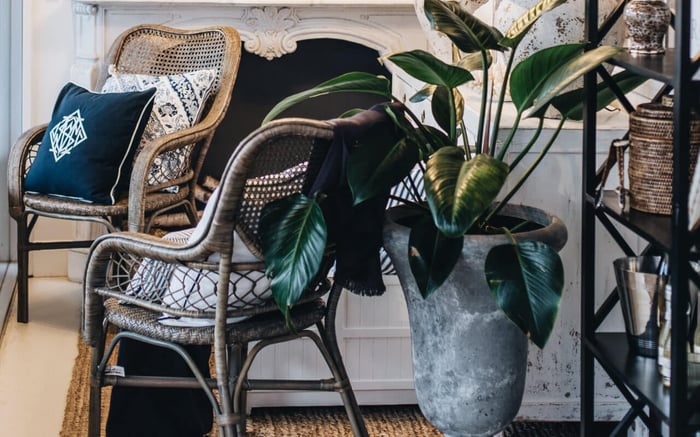 The British Colonial Style Guide | Part 1: Colour Palette