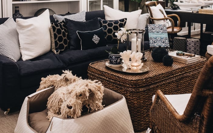 Pet-Friendly Interior Decorating | Our Top 8 Styling Tips