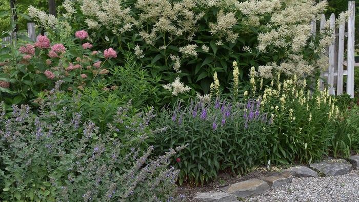 Watering Instructions for New Plants
