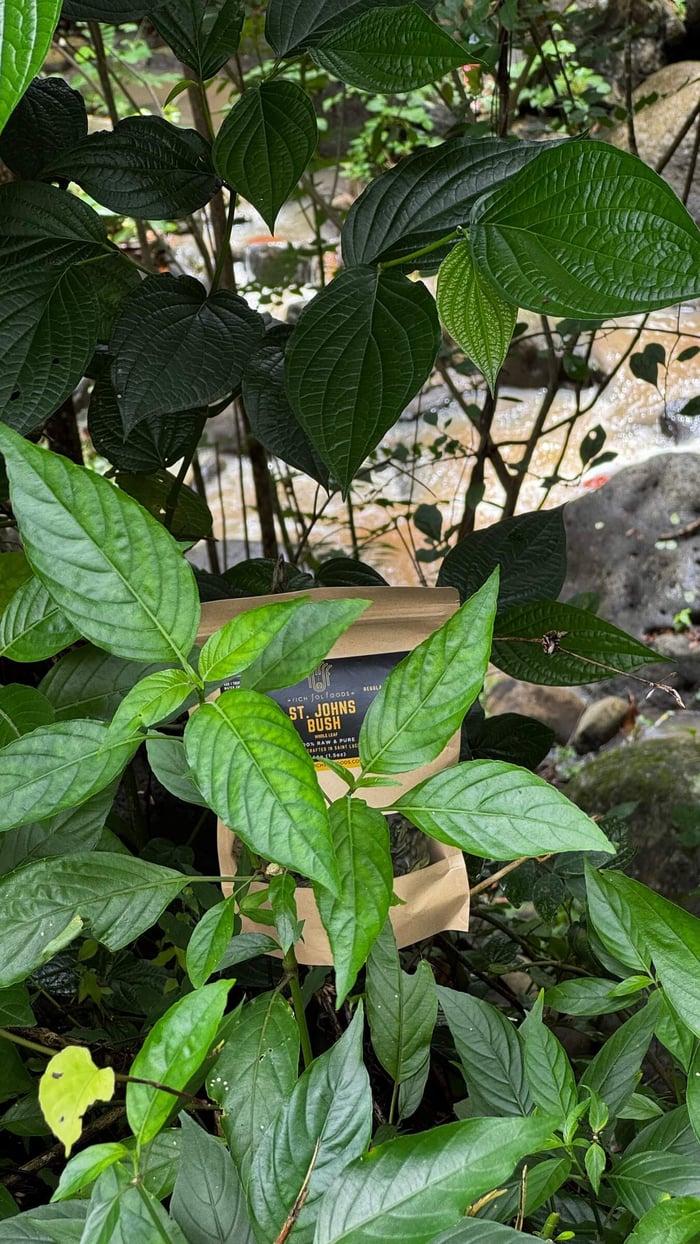 St John’s Bush: Top 5 Benefits of  for Women’s Health