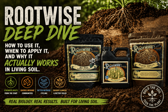 Rootwise Deep Dive: How to Use It and When to Apply It in Living Soil