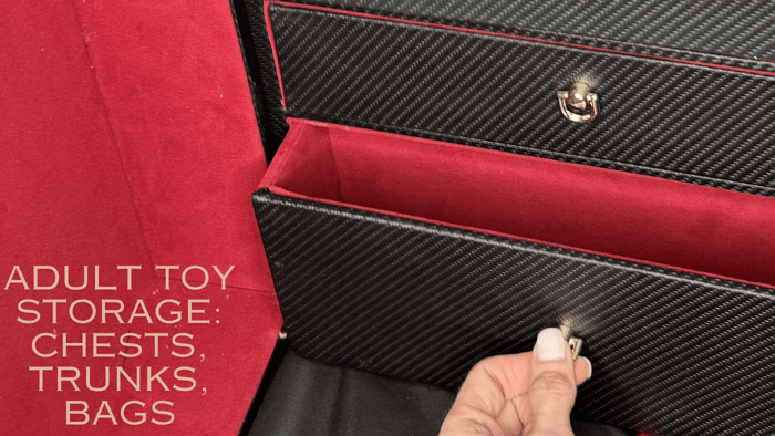 Adult Toy Storage Solutions: Chests, Trunks and Bags
