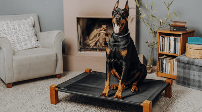 Joint & Mobility Health 101