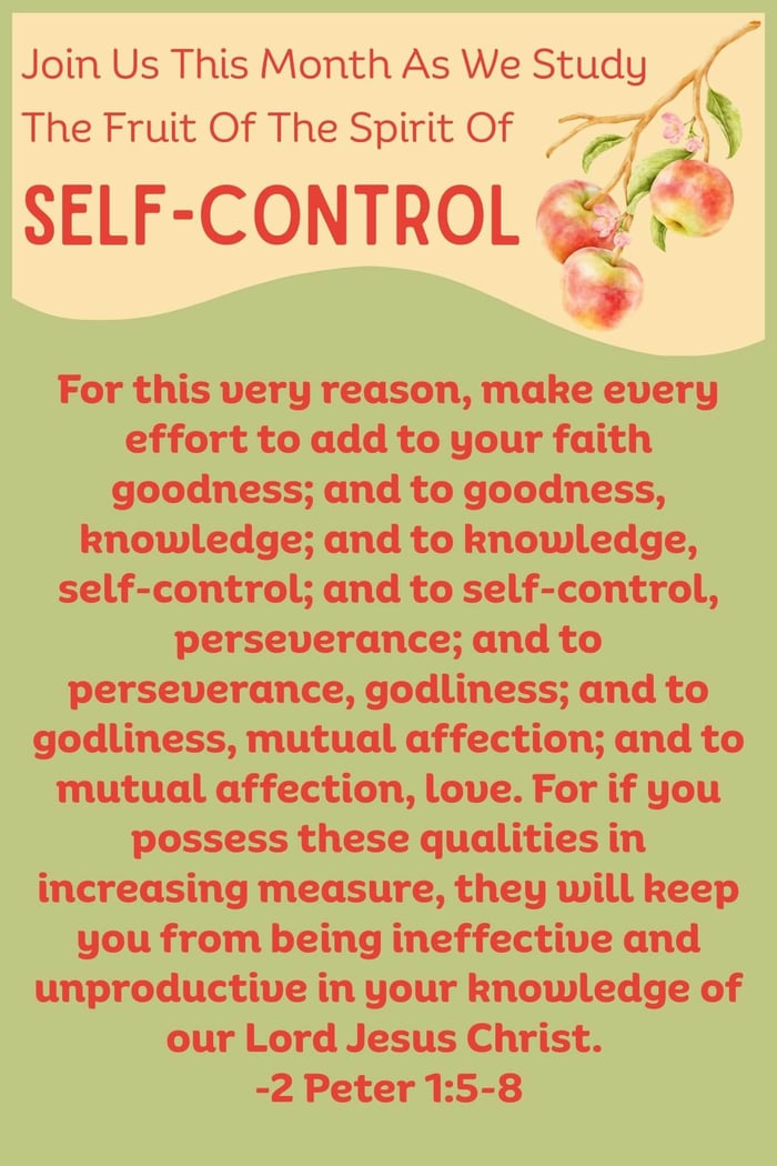 2 Peter 1:5-8 | A Prayer For Growing In Godly Virtue