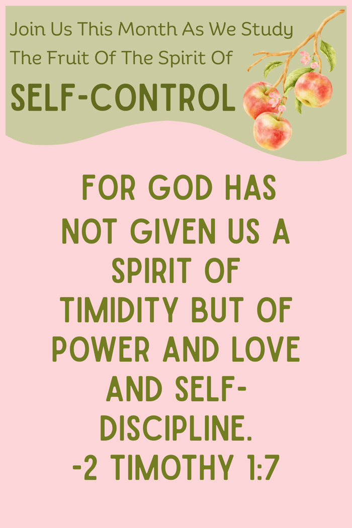 2 Timothy 1:7 |  Walking A The Spirit Of Strength