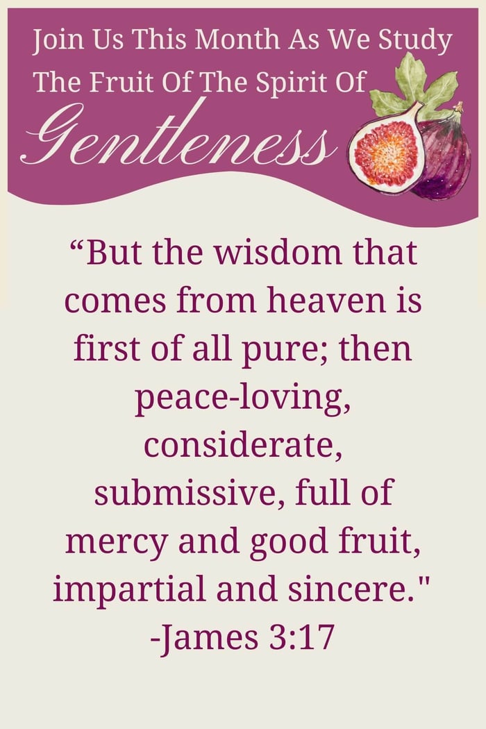 James 3:17 | Daily Prayer For Gentle Wisdom