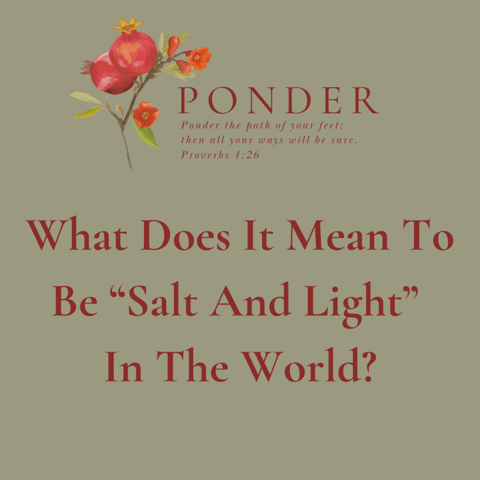 Ponder: What Does It Mean To Be “Salt And Light” In The World?