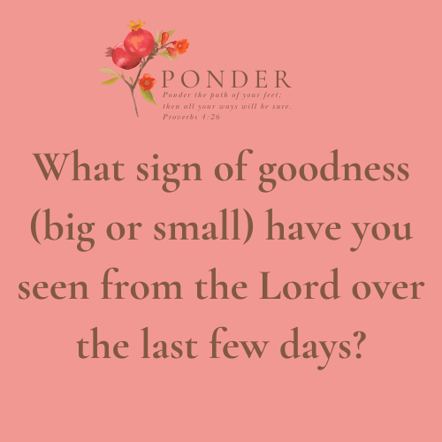 Ponder: What sign of goodness(big or small) have you seen from the Lord over the last few days?