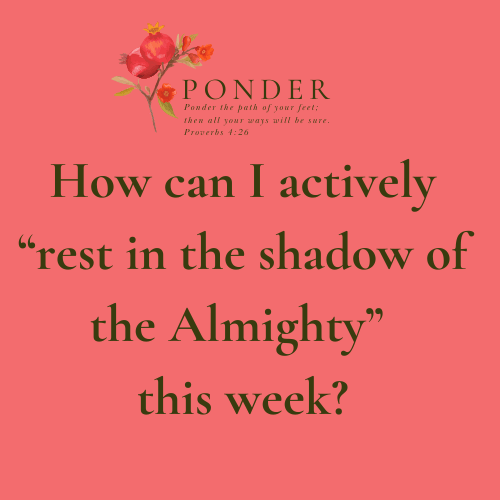 Ponder:  How can I actively “rest in the shadow of the Almighty” this week?