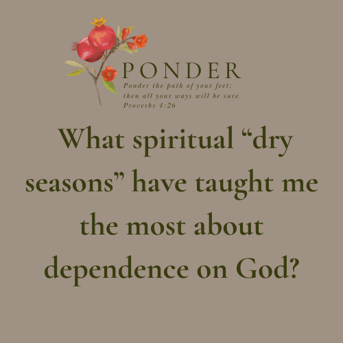 Ponder: What spiritual “dry seasons” have taught me the most about dependence on God?