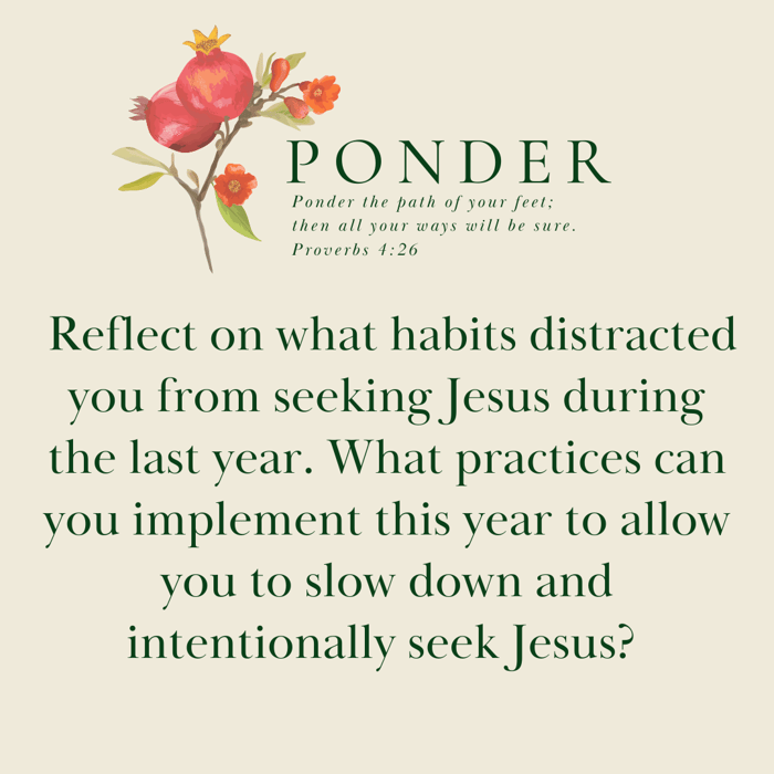 Ponder This:  Reflect on what habits distracted you from seeking Jesus during the last year. What practices can you implement this year to allow you to slow down and intentionally seek Jesus?