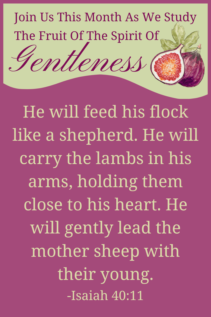 Isaiah 40:11 | A Prayer To My Gentle Shepherd
