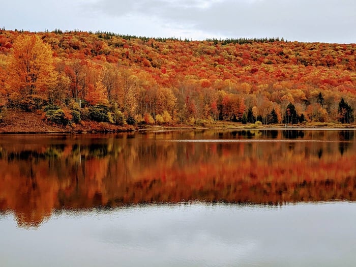 Therapy Trainings™ West Virginia offers CE for Social Workers, LPCs, and MFTs