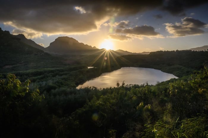 Therapy Trainings™ Hawaii offers CE for Social Workers, LPCs, and MFTs