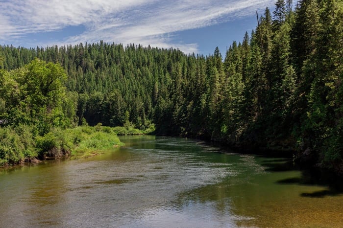Therapy Trainings™ Idaho offers CE for Social Workers, LPCs, and MFTs