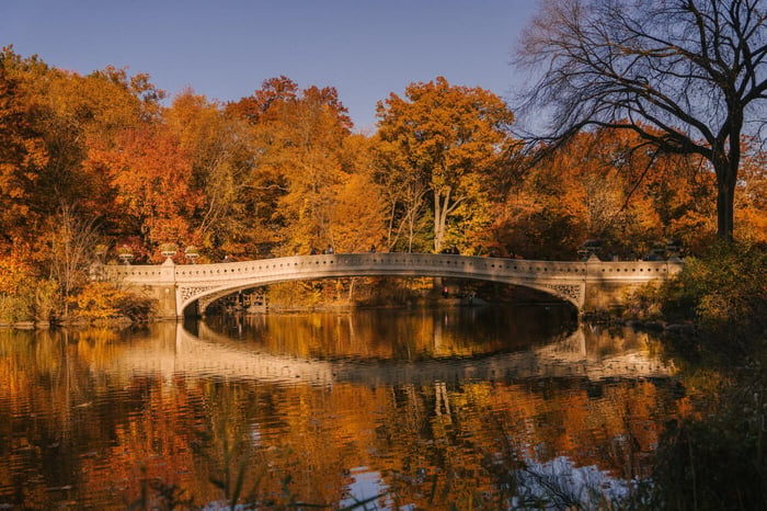 Therapy Trainings™ New York offers CE for Social Workers, LPCs, and MFTs