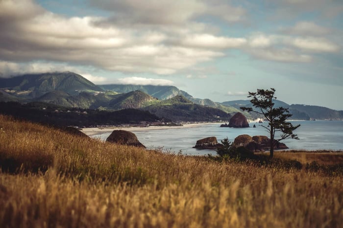 Therapy Trainings™ Oregon offers CE for Social Workers, LPCs, and MFTs