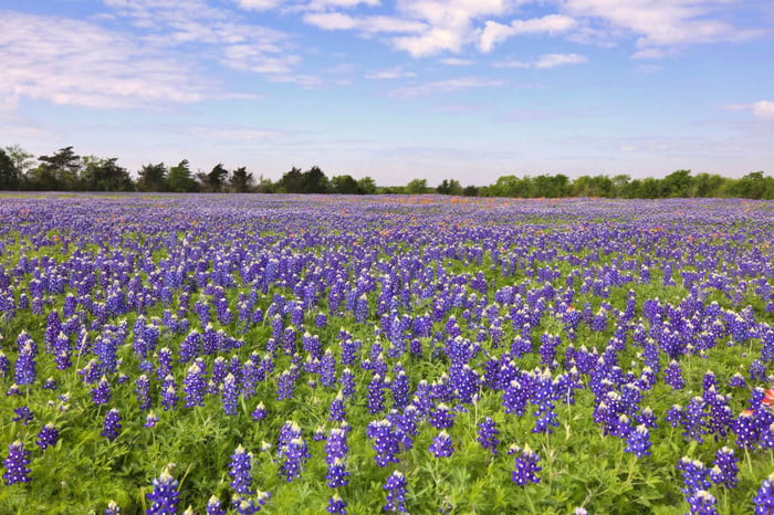 Therapy Trainings™ Texas offers CE for Social Workers, LPCs, and MFTs