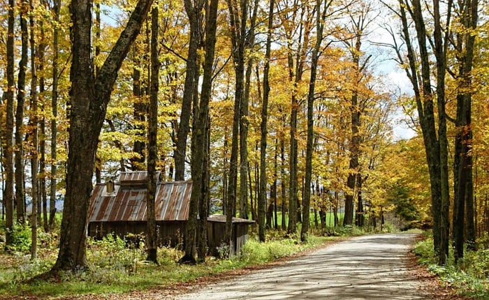 Therapy Trainings™ Vermont offers CE for Social Workers, LPCs, and MFTs