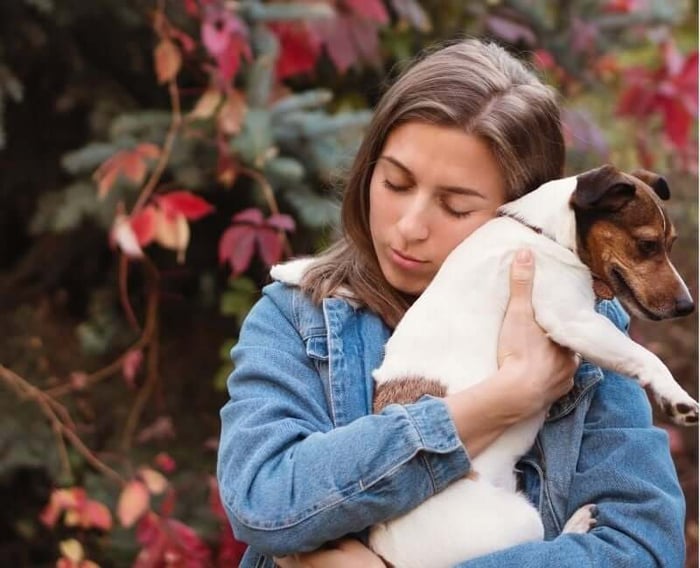 10 Strategies for Managing Grief Before a Pet Passes Away