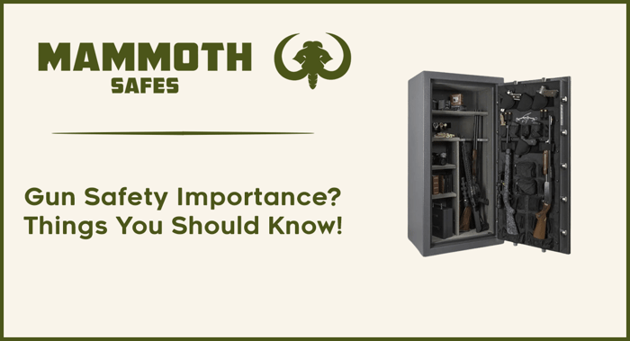 Why Is Gun Safety Importance? Things You Should Know!