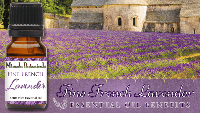Fine French Lavender Essential Oil Benefits: Medicine for Emotional Healing and the Soul