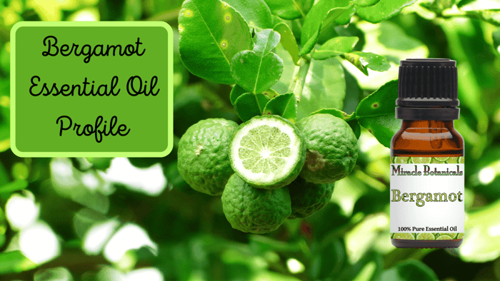 Bergamot Essential Oil