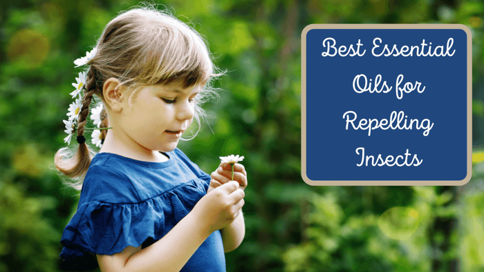 The Best Essential Oils for Repelling Bugs