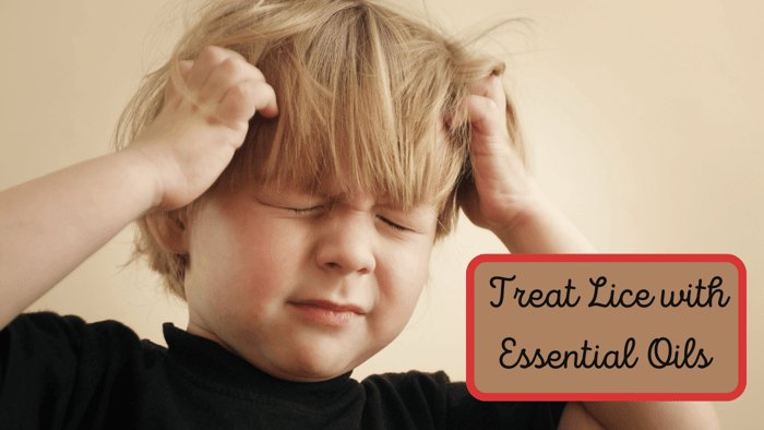 Essential Oil Lice Treatment