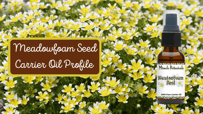 Just Like Honey – Meadowfoam Seed Oil