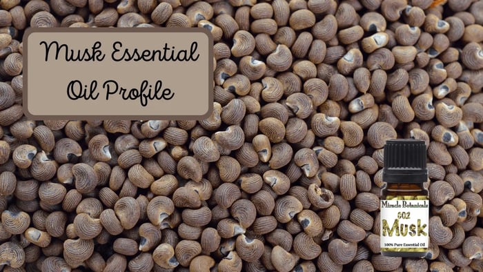 Musk Essential Oil Profile