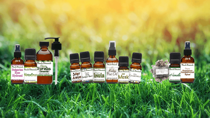 New Products and Restocked Products