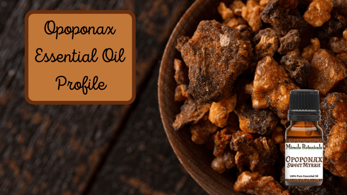 Opoponax Essential Oil Spotlight (Sweet Myrhh)