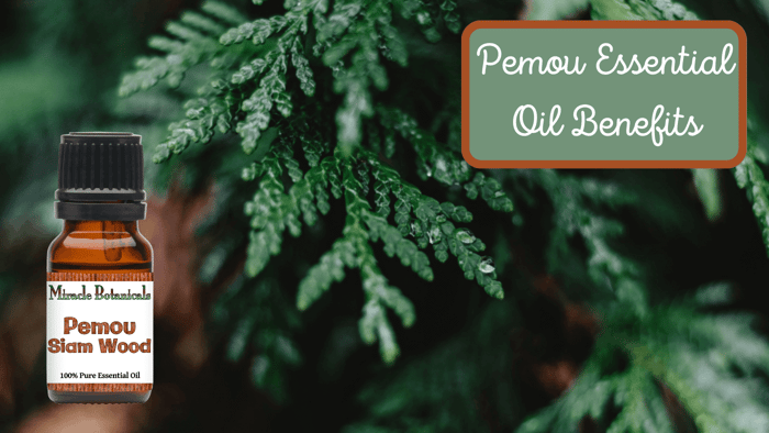 Pemou Essential Oil Benefits