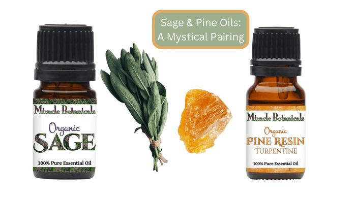 Sage and Pine Essential Oils - A Mystical Pairing