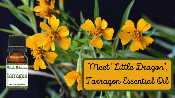 Tarragon Essential Oil - Unleashing the Power of the 
