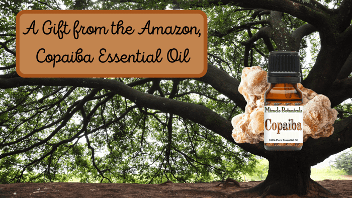 Copaiba Essential Oil - The Power Pain Reliever