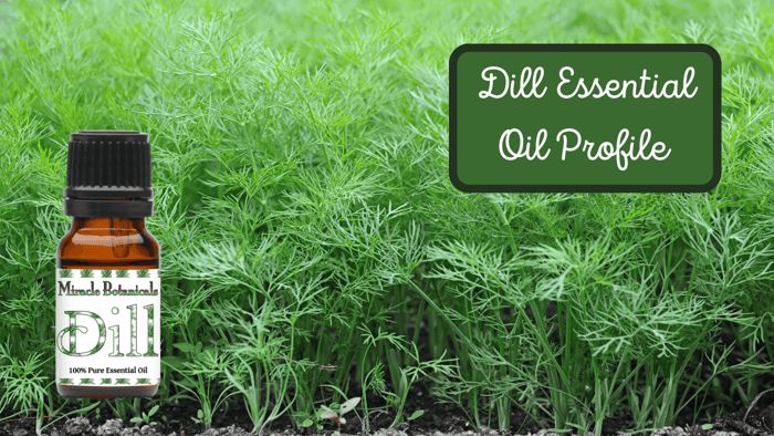 What’s the Dill-io?