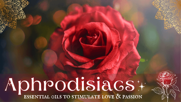 Beautiful red rose with the text 