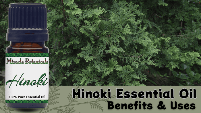 Benefits of Hinoki Essential Oil