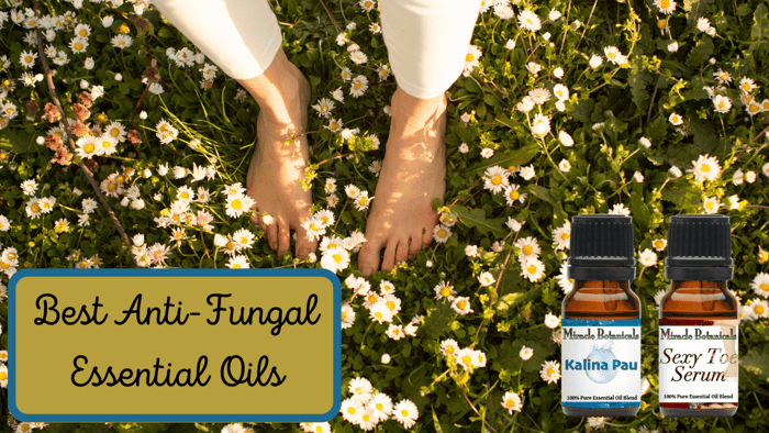 Best Antifungal Essential Oils