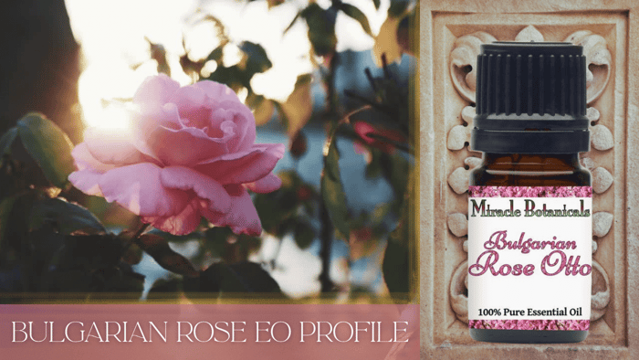 Bulgarian Rose Essential Oil
