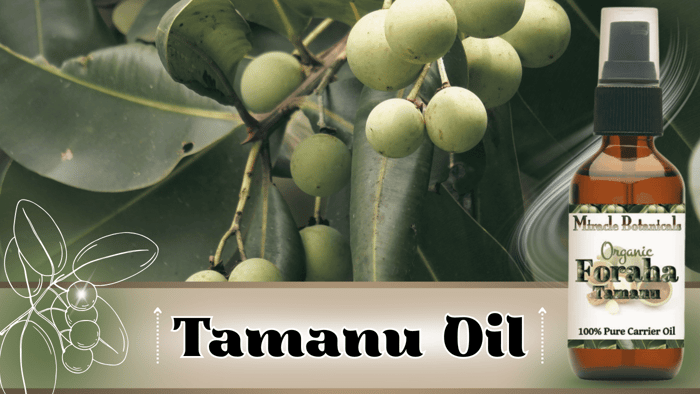 Tamanu Oil Benefits