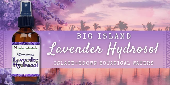 lavender hydrosol big island essential oils