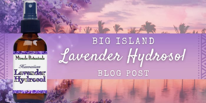 lavender hydrosol big island essential oils