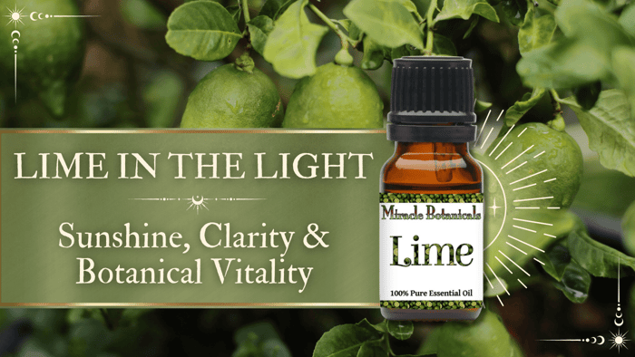 lime essential oil